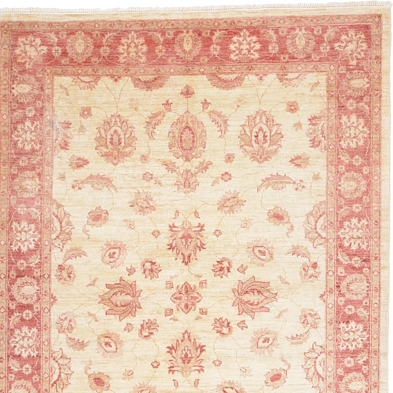 Wool Ziegler Pakistani Rug 168 × 242 cm, hand-knotted - Image 6