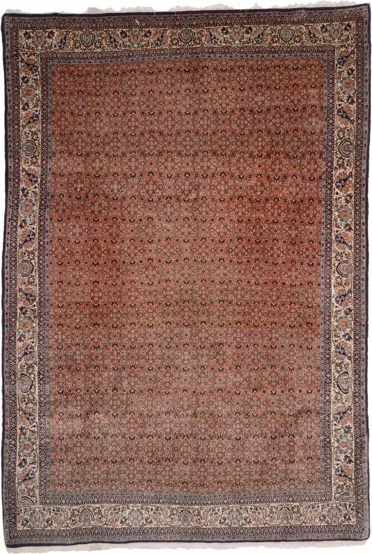 Bijar Persian Rug 204 × 295 cm in Wool, hand-knotted