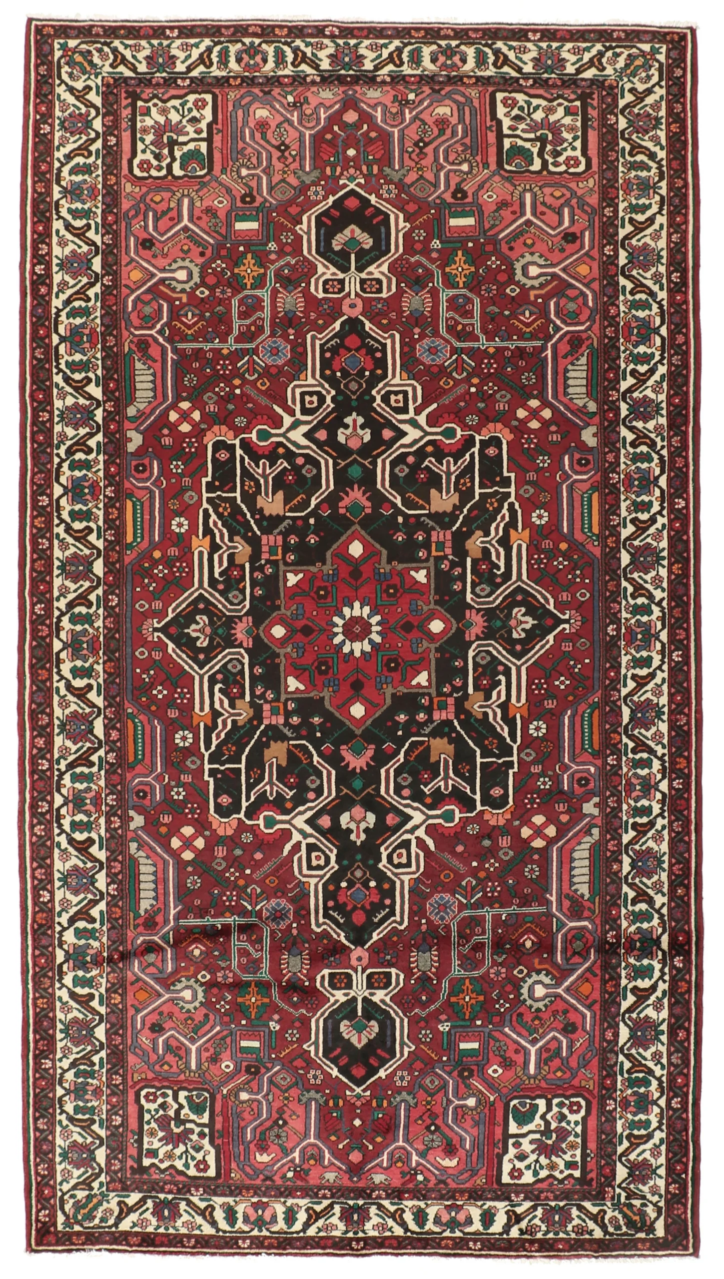 Hand-Knotted Bakhtiari Persian Rug, 167 × 308 cm, Wool
