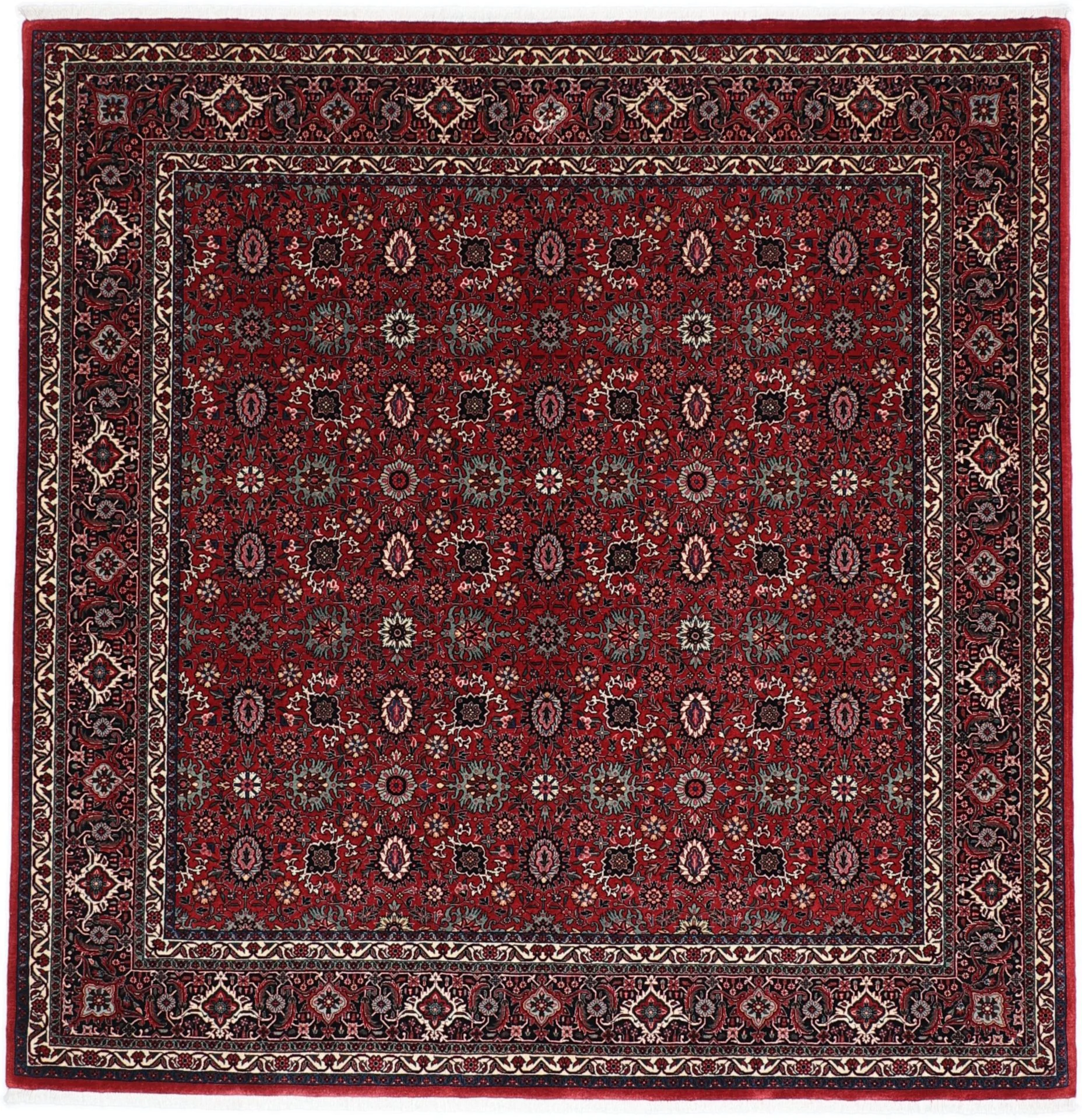 Hand-Knotted Bijar Persian Rug, 206 × 210 cm, Wool