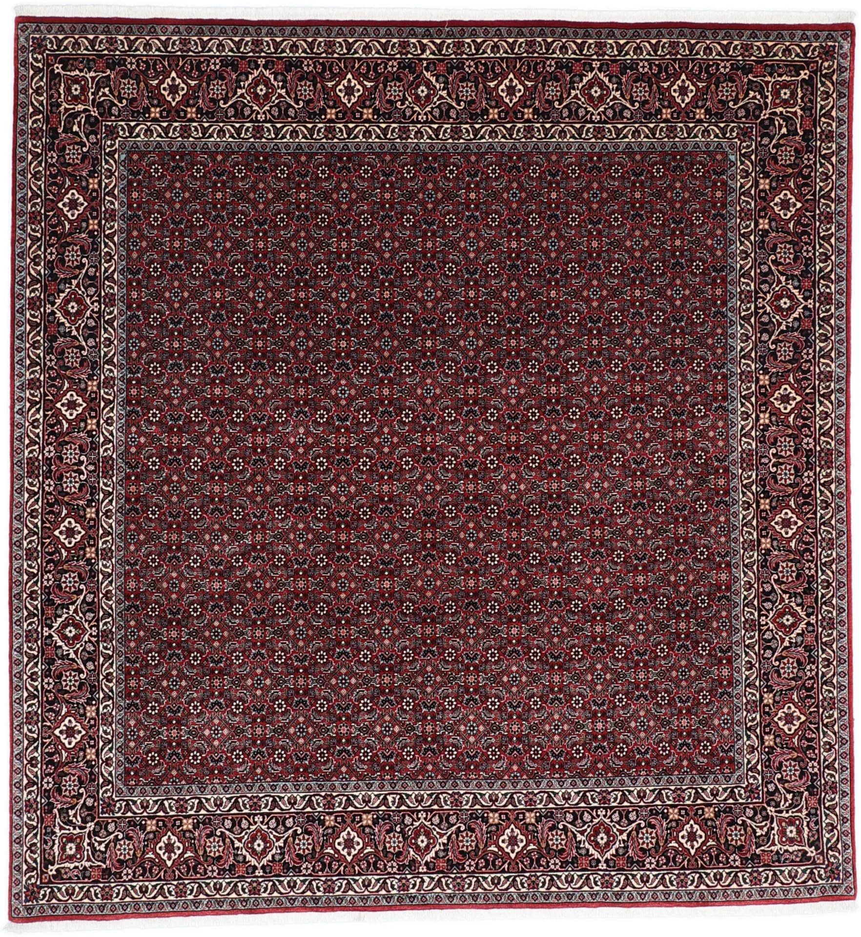 Wool Bijar Persian Rug 203 × 215 cm, hand-knotted