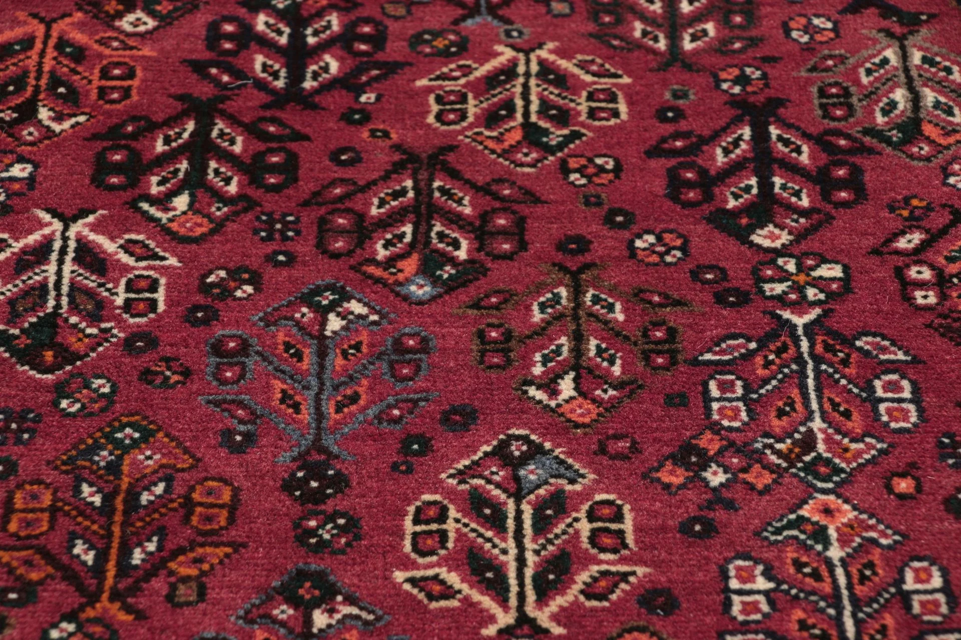 Wool Qashqai Persian Rug 220 × 335 cm, hand-knotted - Image 4