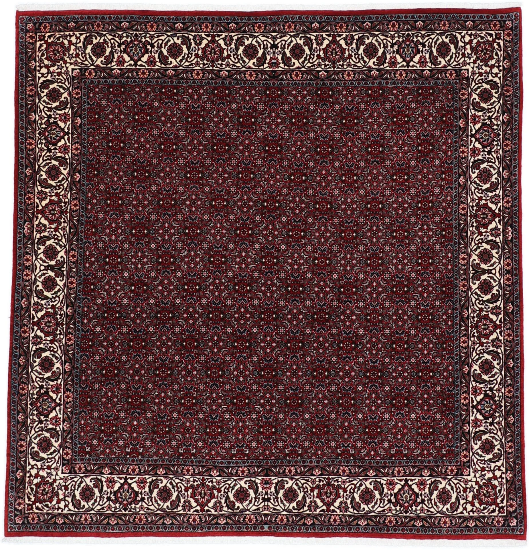 Wool Bijar Persian Rug 200 × 210 cm, hand-knotted