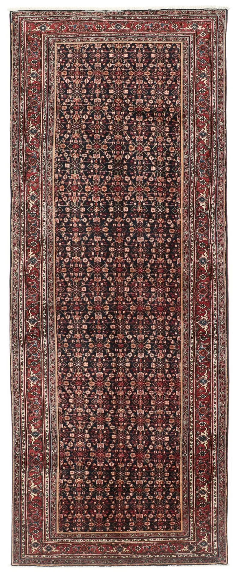 Bijar Persian Rug 150 × 393 cm in Wool, hand-knotted