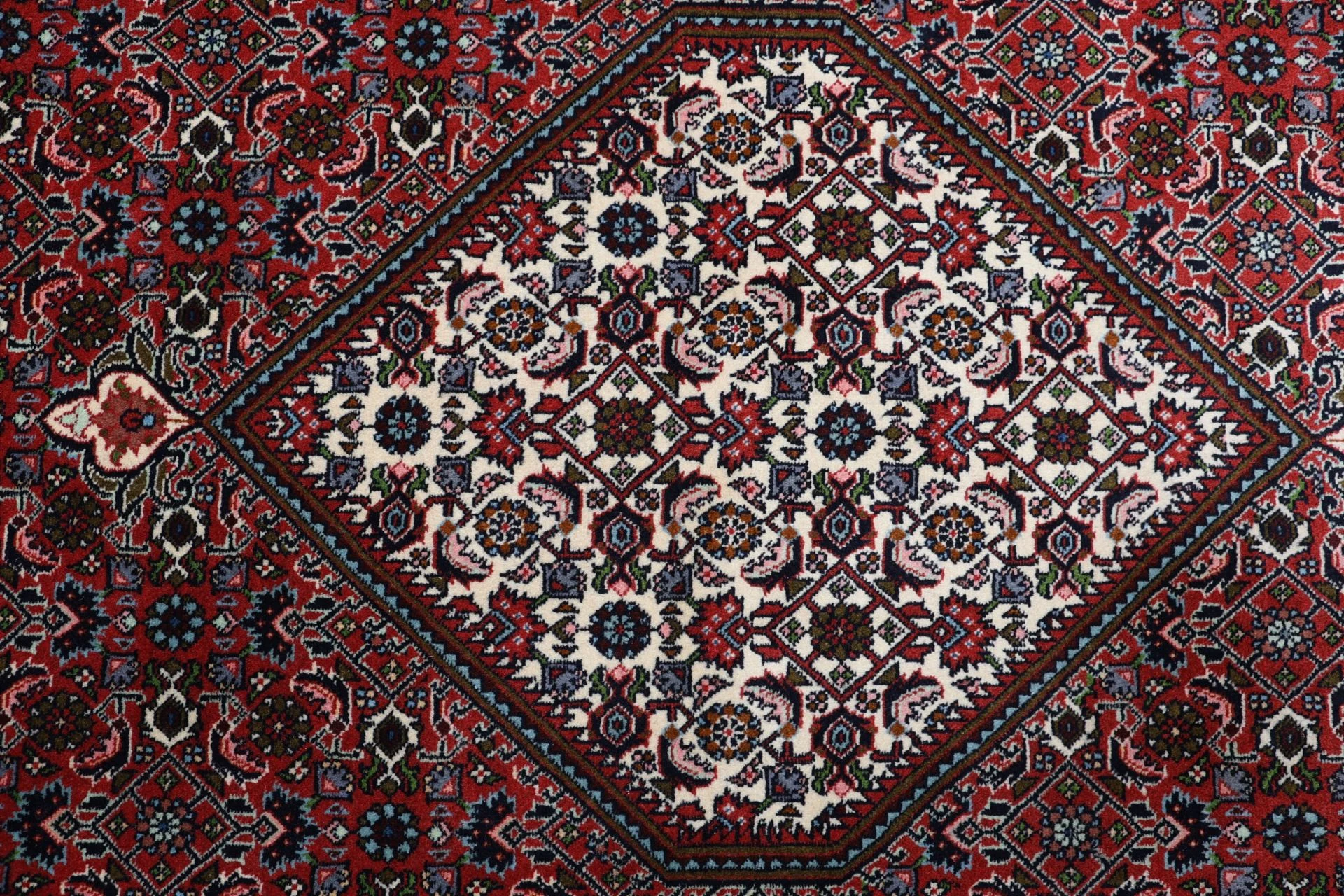 Hand-Knotted Bijar Persian Rug, 248 × 300 cm, Wool - Image 9