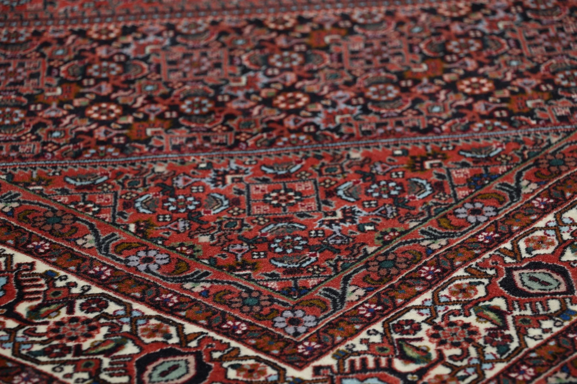 Hand-Knotted Bijar Persian Rug, 170 × 245 cm, Wool - Image 5