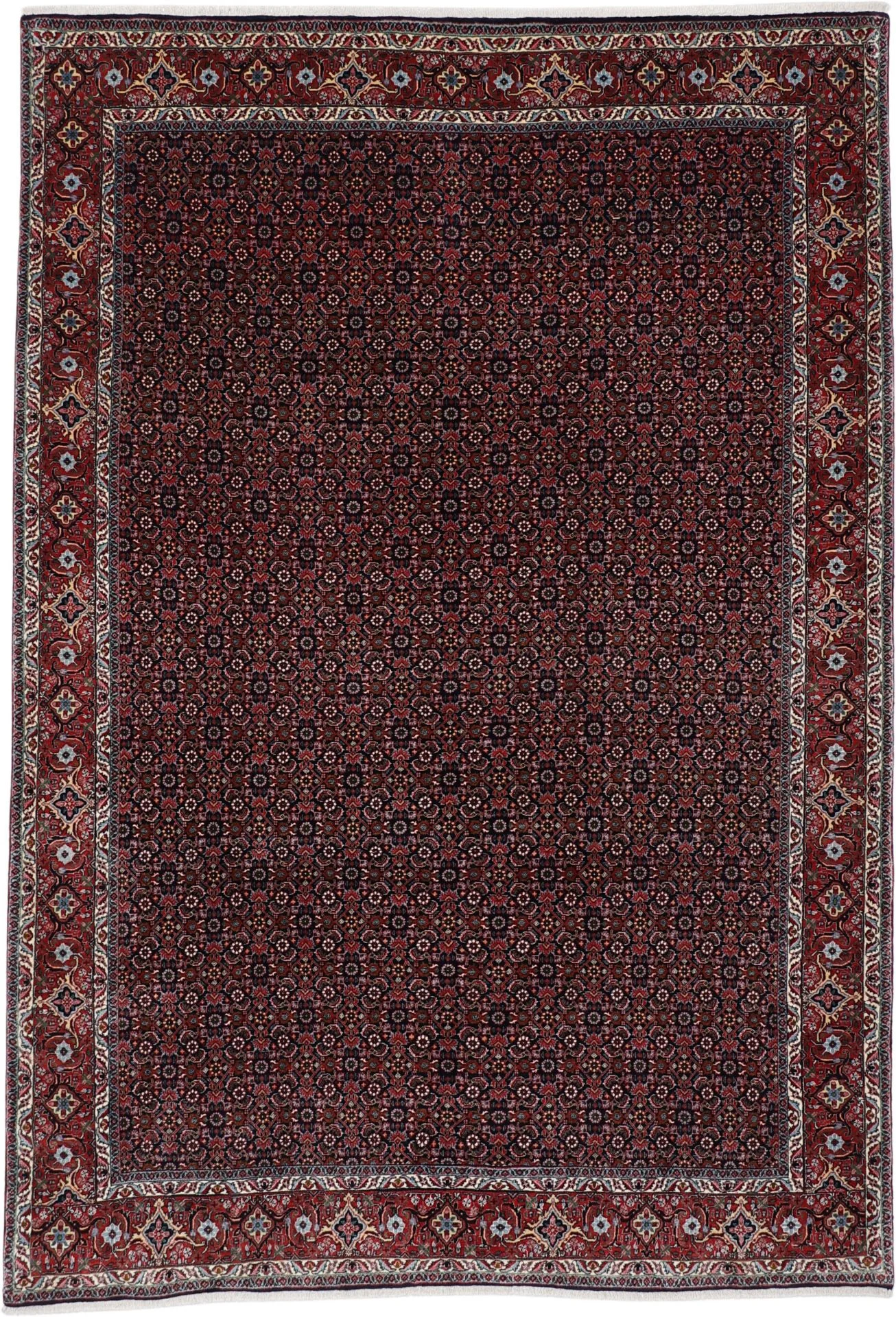 Wool Bijar Persian Rug 205 × 300 cm, hand-knotted