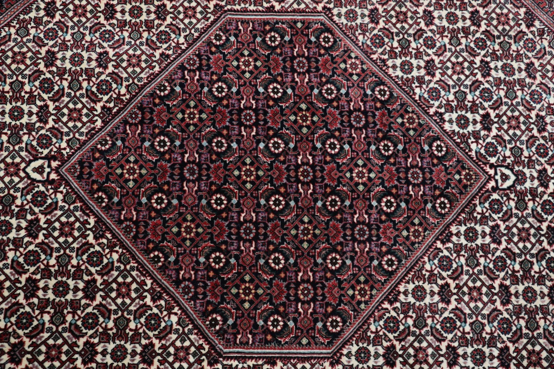 Hand-Knotted Bijar Persian Rug, 254 × 348 cm, Wool - Image 9