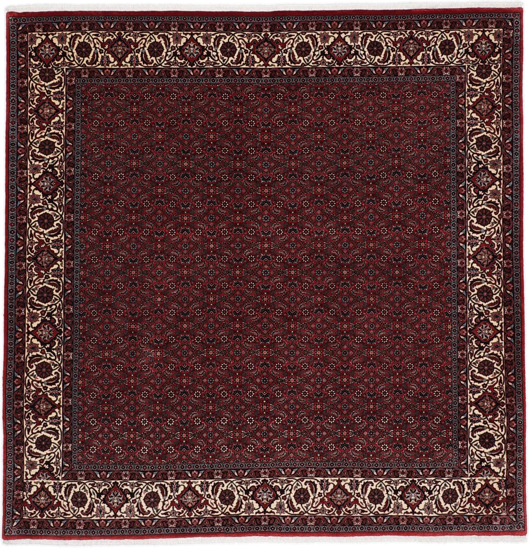 Hand-Knotted Bijar Persian Rug, 204 × 205 cm, Wool