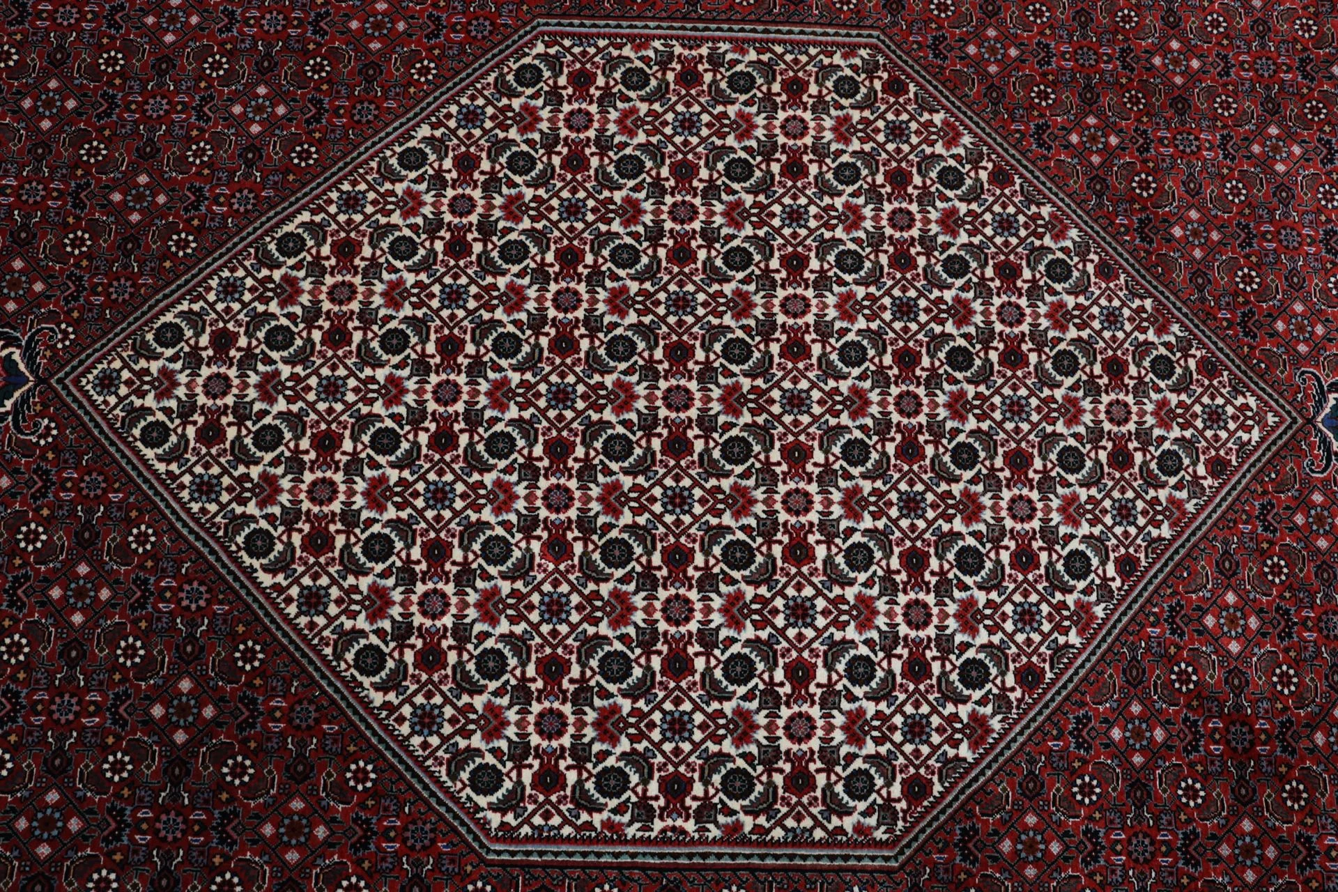 Wool Bijar Persian Rug 250 × 350 cm, hand-knotted - Image 9