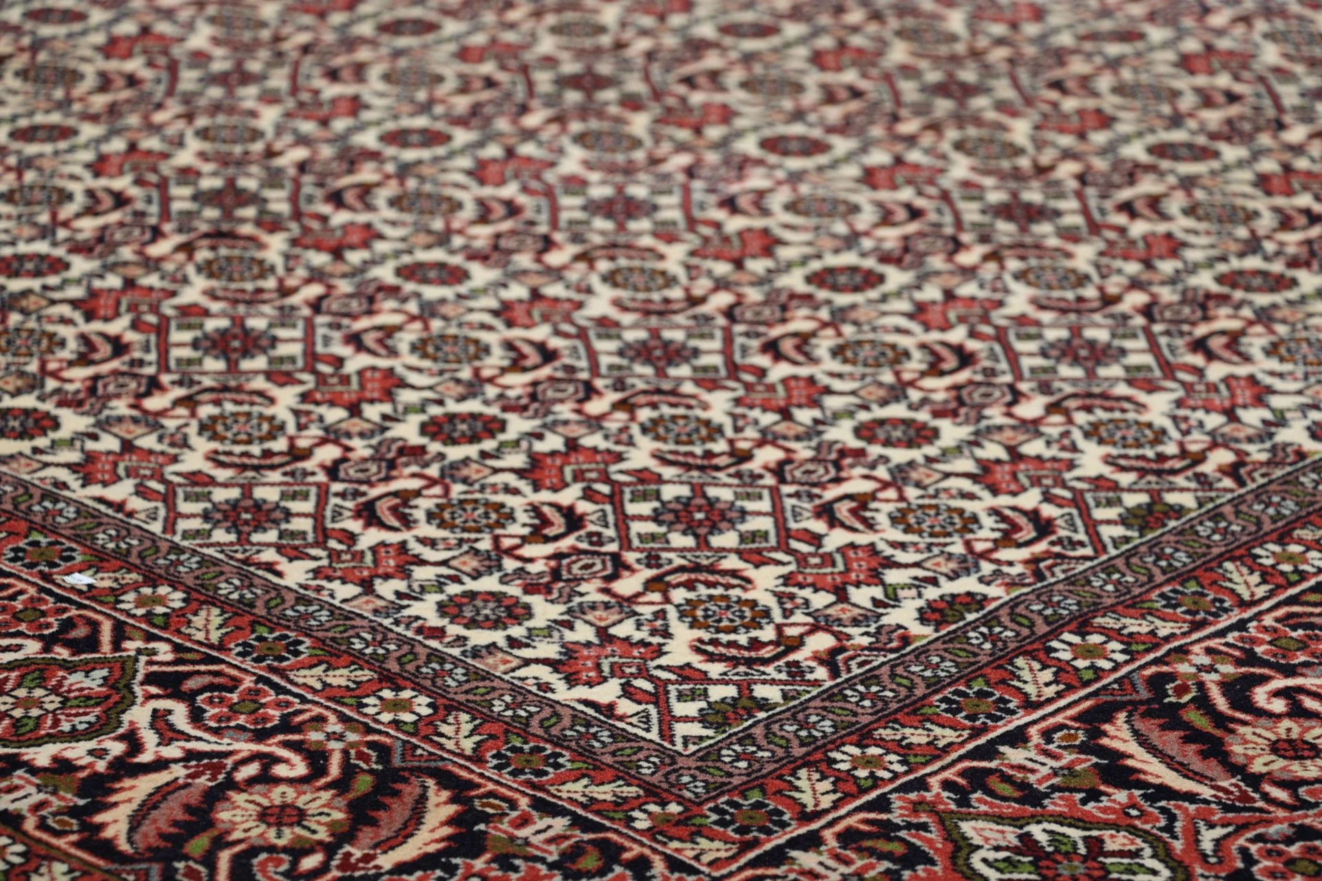 Bijar Persian Rug 167 × 243 cm in Wool, hand-knotted - Image 5