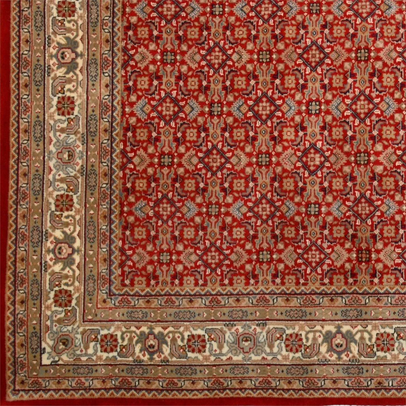 Hand-Knotted Herati Indian Rug, 245 × 342 cm, Wool - Image 4