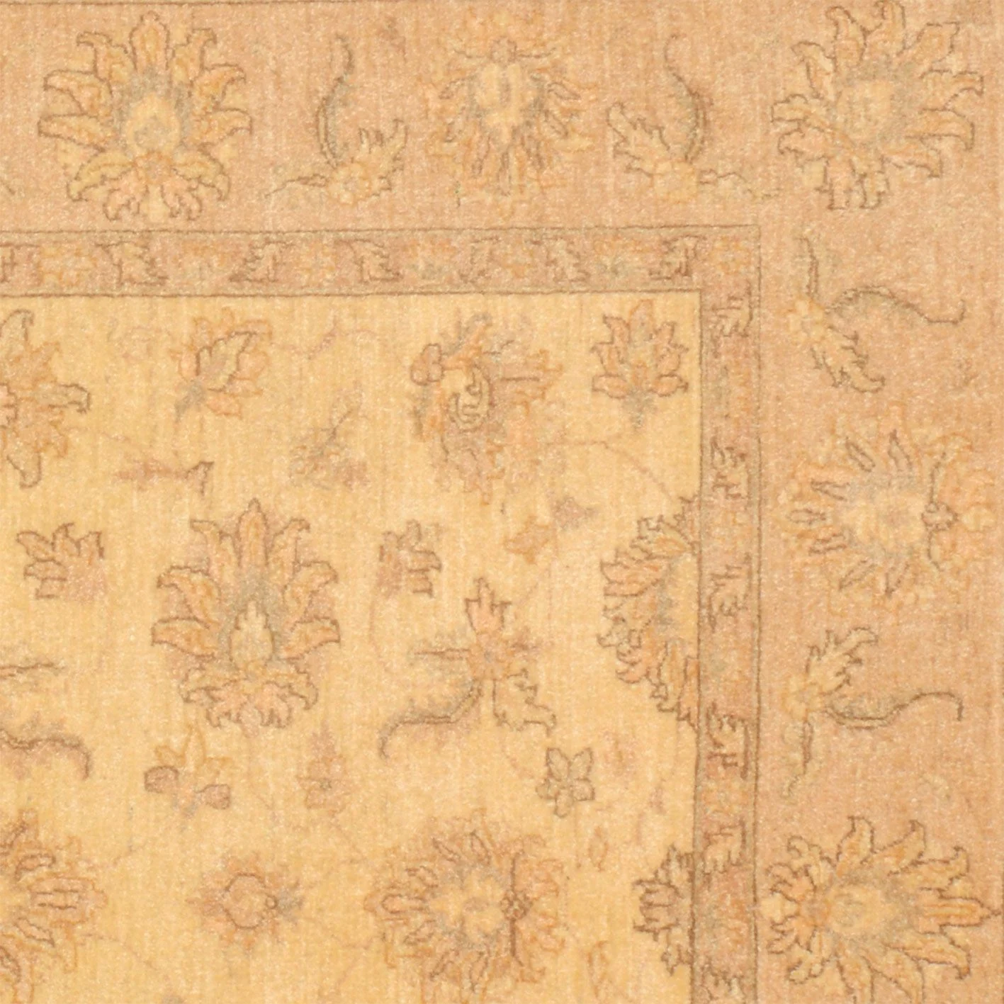 Ziegler Pakistani Rug 150 × 193 cm in Wool, hand-knotted - Image 4