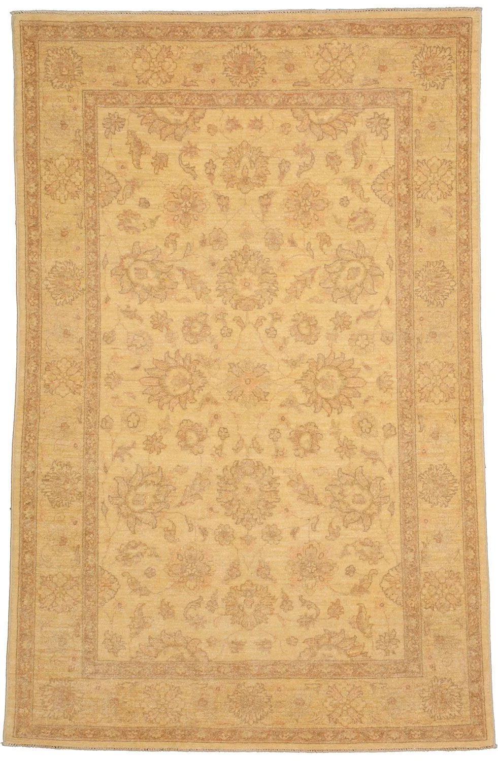 Hand-Knotted Ziegler Pakistani Rug, 115 × 186 cm, Wool