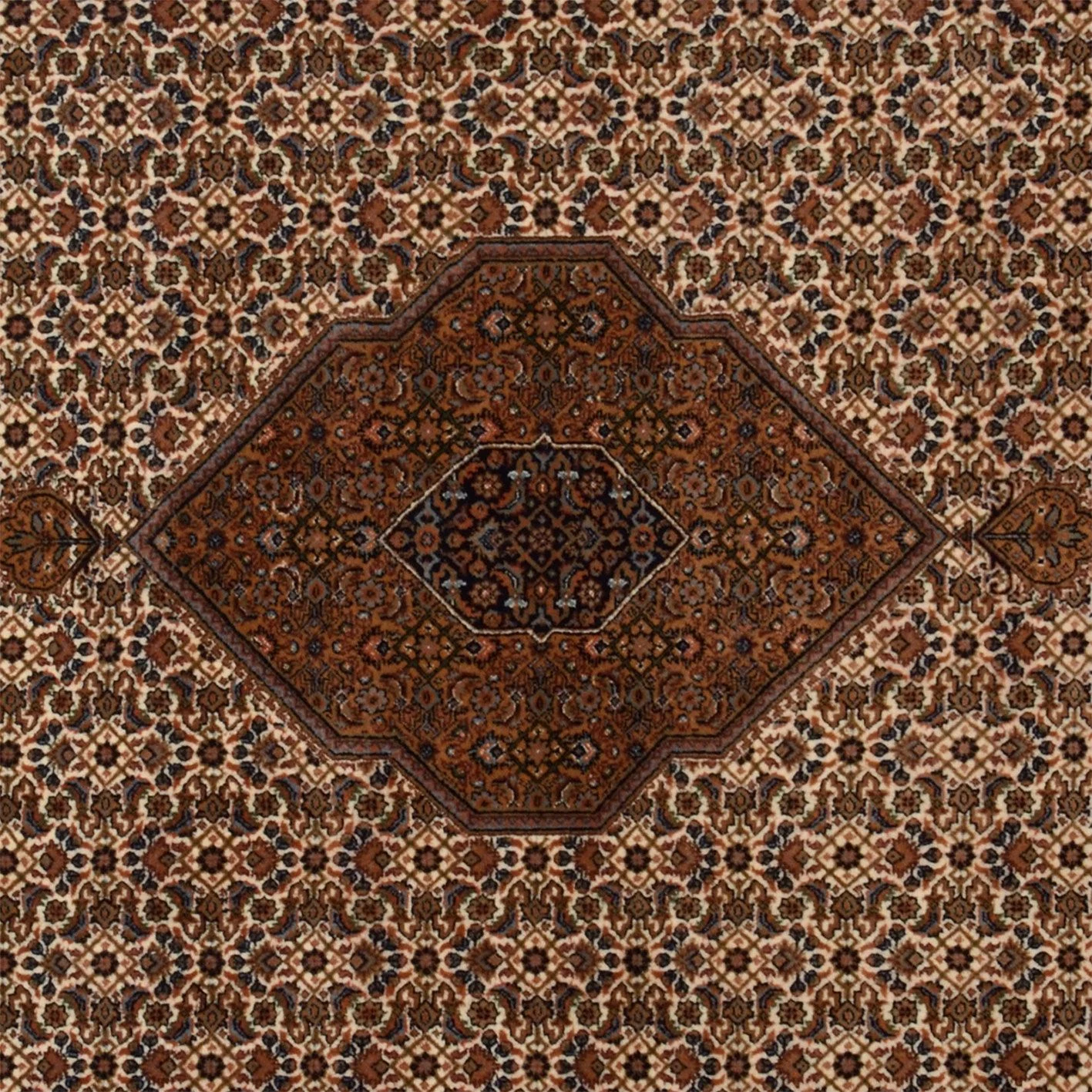 Bijar Indian Rug 198 × 288 cm in Wool, hand-knotted - Image 4
