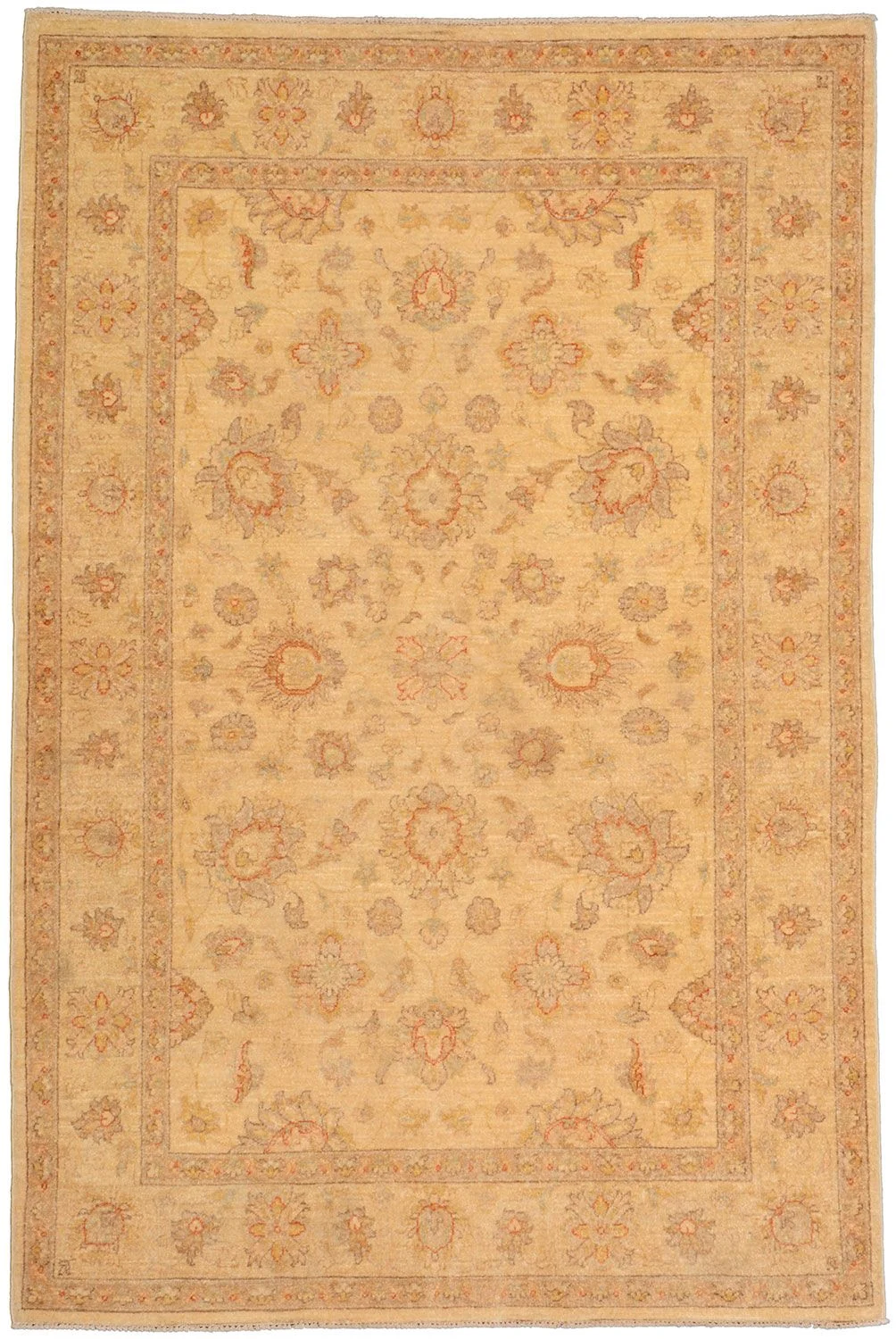 Hand-Knotted Ziegler Pakistani Rug, 119 × 180 cm, Wool