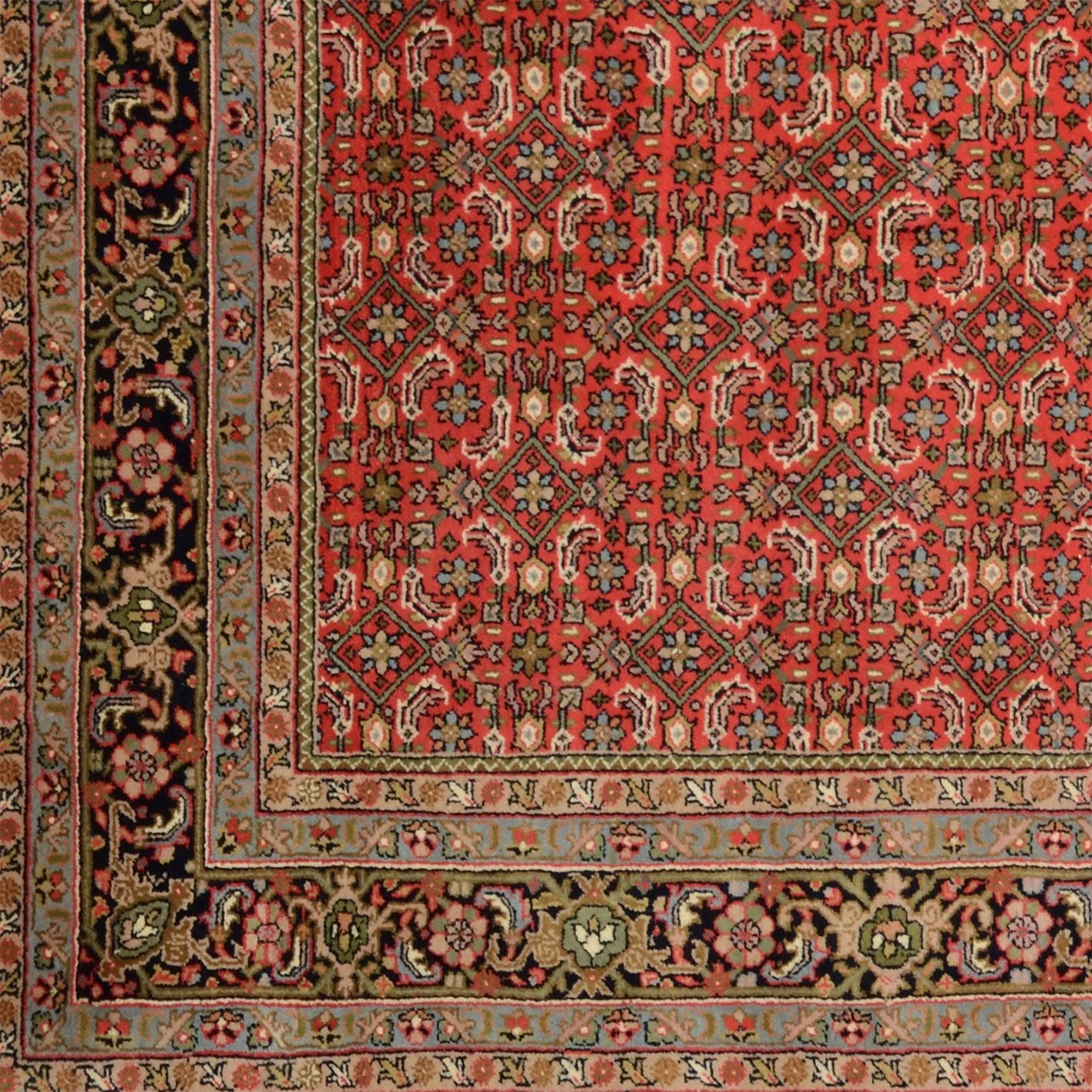 Hand-Knotted Bijar Indian Rug, 208 × 300 cm, Wool - Image 4