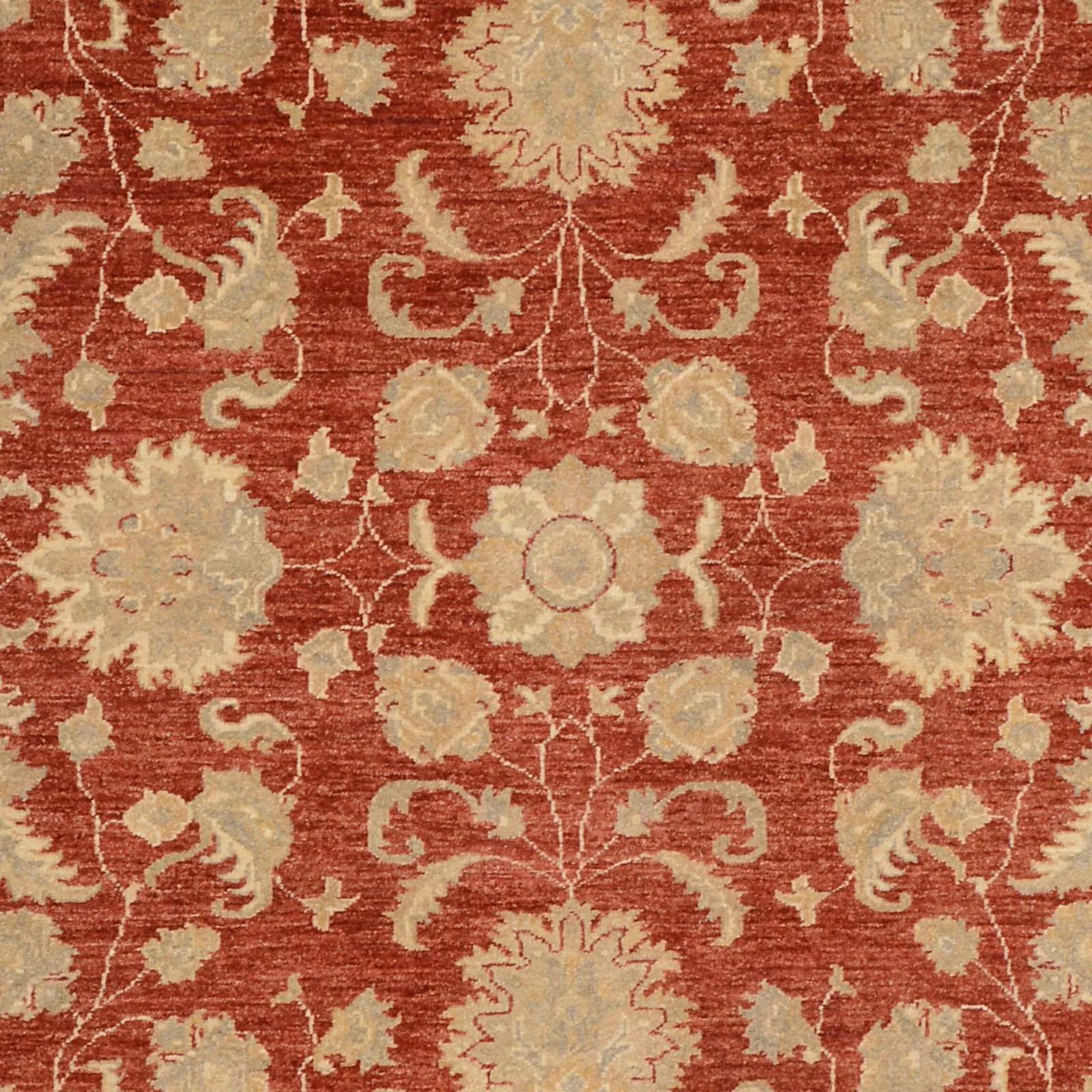 Wool Ziegler Pakistani Rug 293 × 208 cm, hand-knotted - Image 4