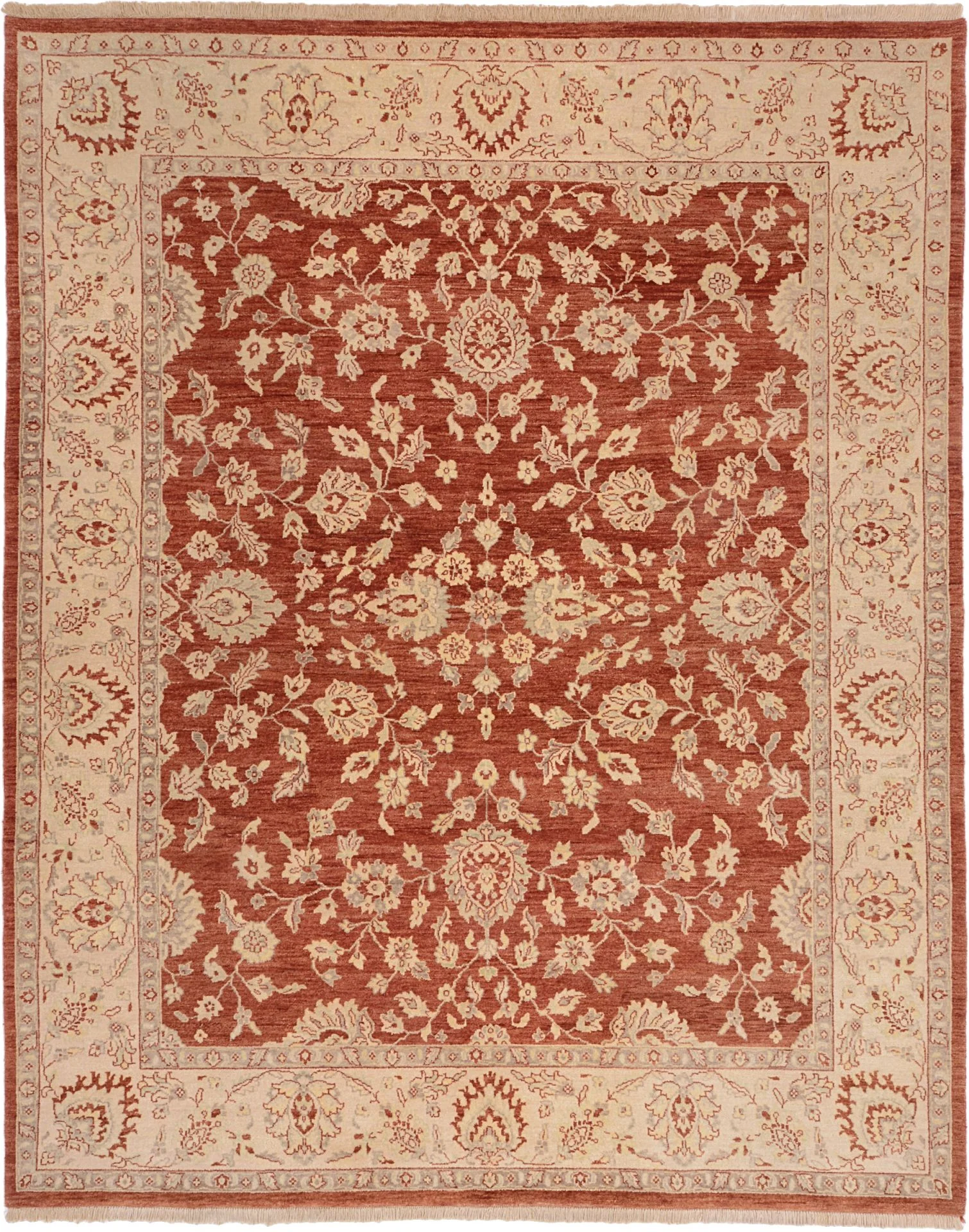 Wool Ziegler Pakistani Rug 244 × 300 cm, hand-knotted