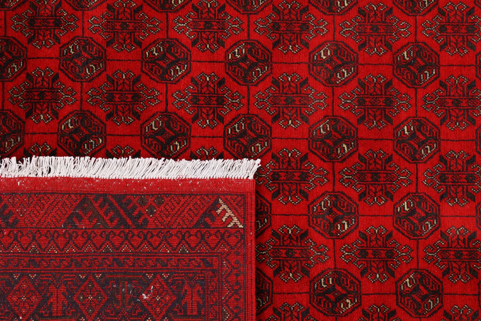 Hand-Knotted Afghan Rug, 248 × 341 cm, Wool - Image 7