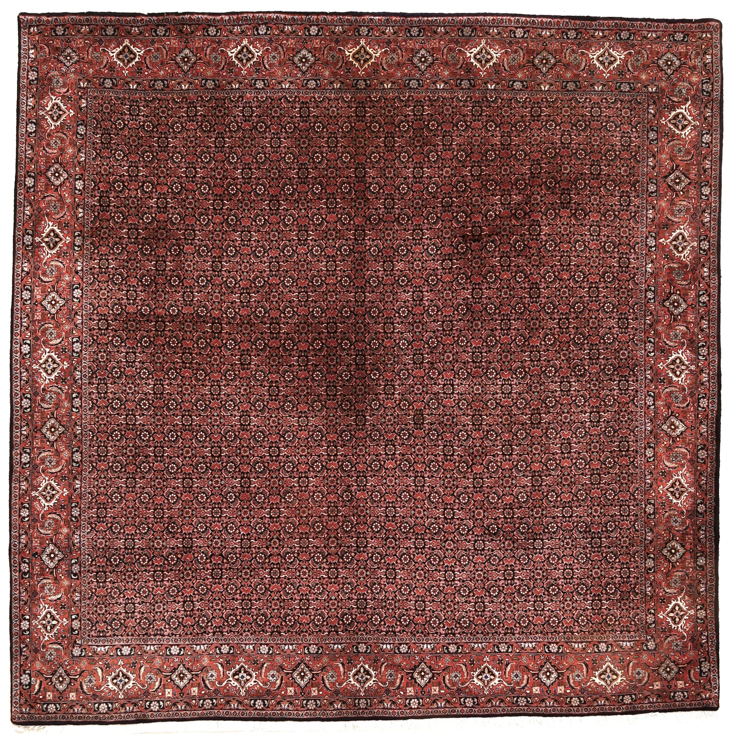 Wool Bijar Persian Rug 255 × 255 cm, hand-knotted