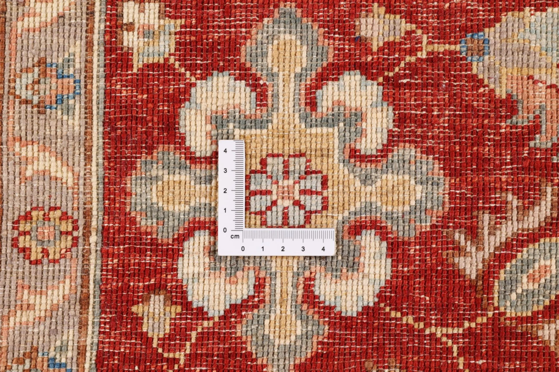 Hand-Knotted Ziegler Pakistani Rug, 247 × 295 cm, Wool - Image 9