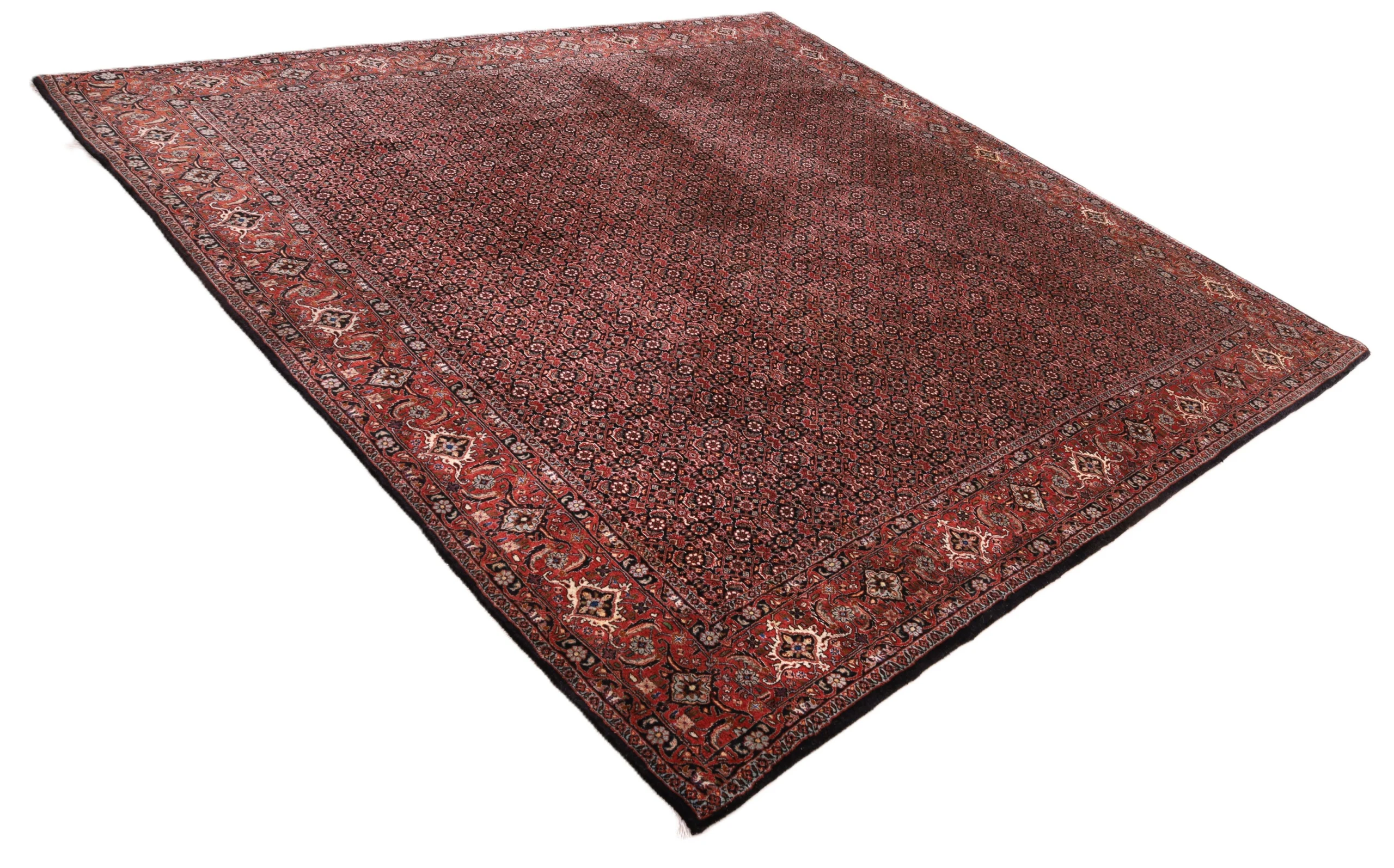 Alternative view of Wool Bijar Persian Rug 255 × 255 cm, hand-knotted