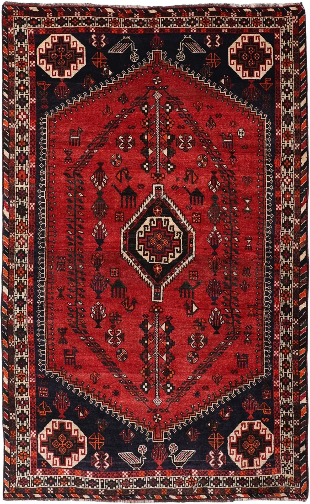 Shiraz Persian Rug 155 × 255 cm in Wool, hand-knotted