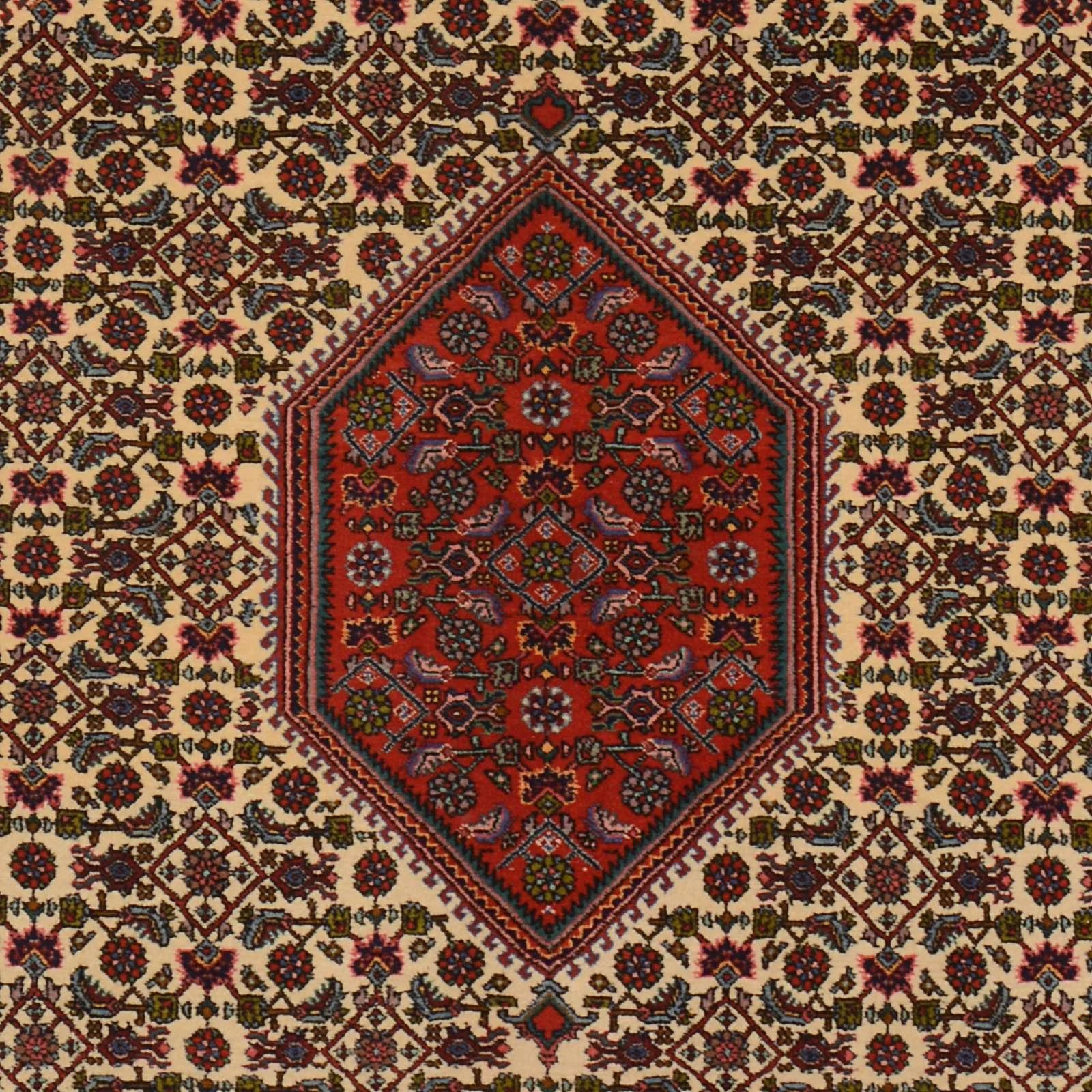Hand-Knotted Bijar Persian Rug, 114 × 177 cm, Wool - Image 5