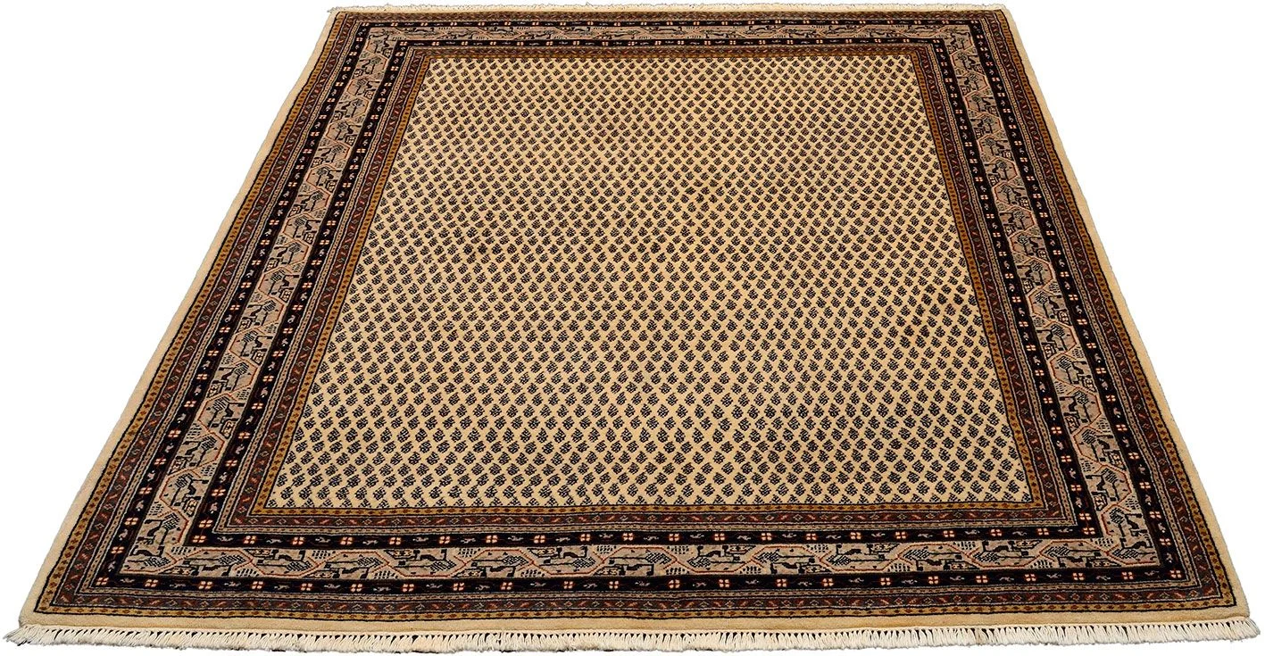Alternative view of Indian Rug 199 × 254 cm in Wool, hand-knotted