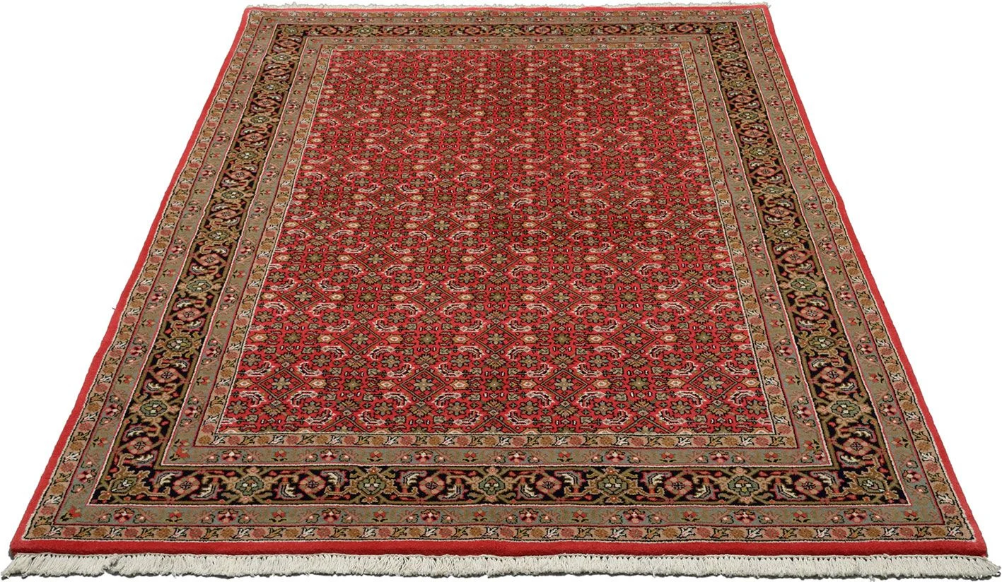 Alternative view of Bijar Indian Rug 170 × 241 cm in Wool, hand-knotted