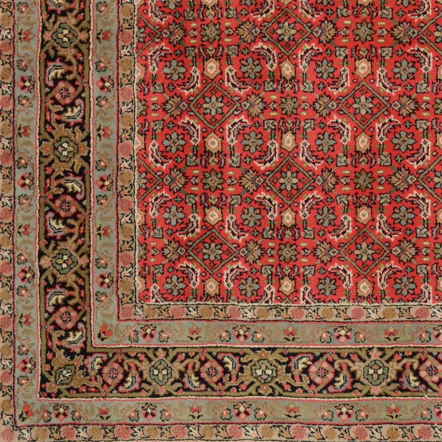 Wool Bijar Indian Rug 166 × 244 cm, hand-knotted - Image 4