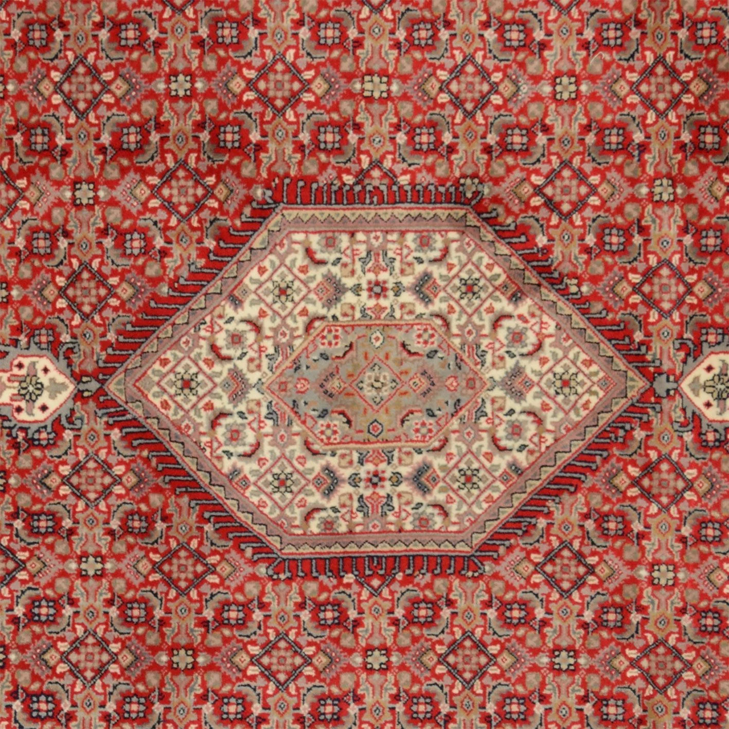 Hand-Knotted Bijar Indian Rug, 193 × 298 cm, Wool - Image 4
