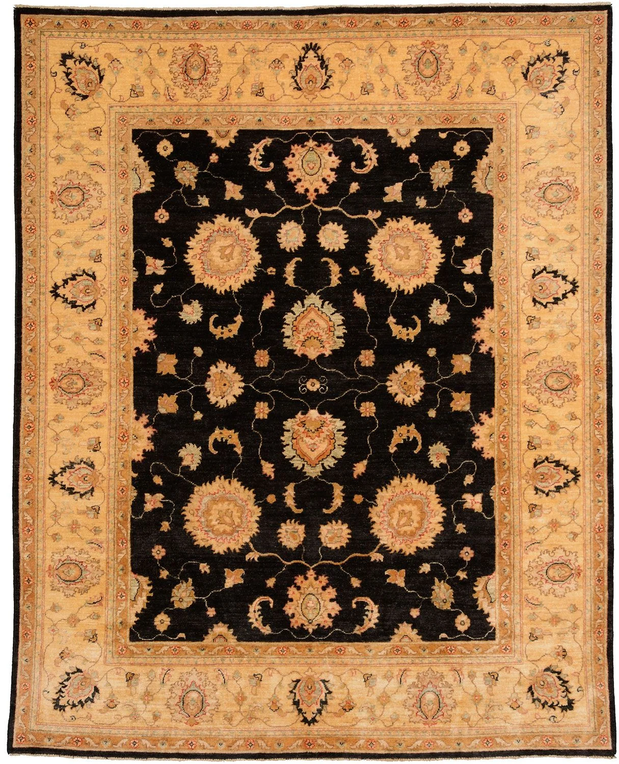 Ziegler Pakistani Rug 200 × 254 cm in Wool, hand-knotted