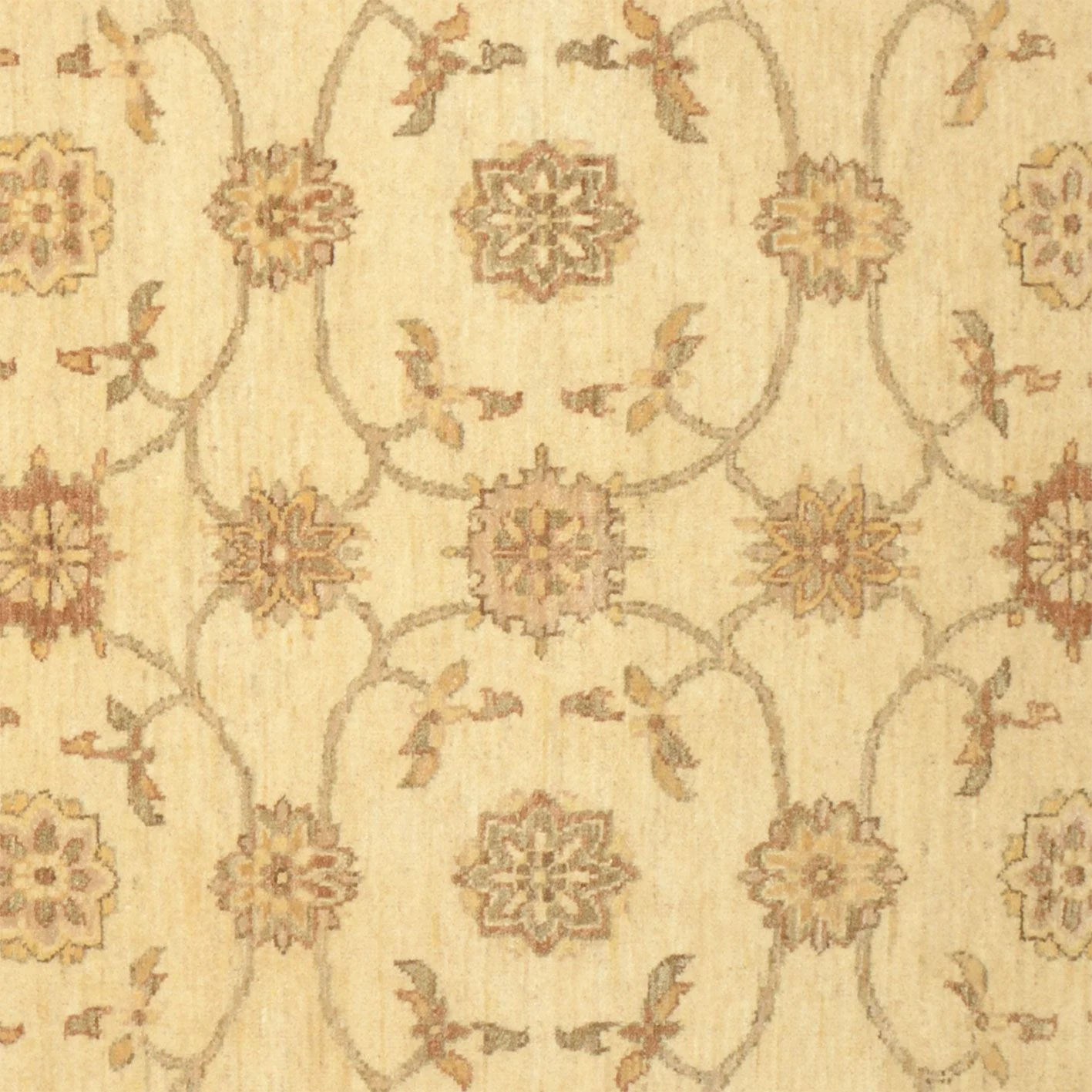 Ziegler Pakistani Rug 159 × 223 cm in Wool, hand-knotted - Image 4