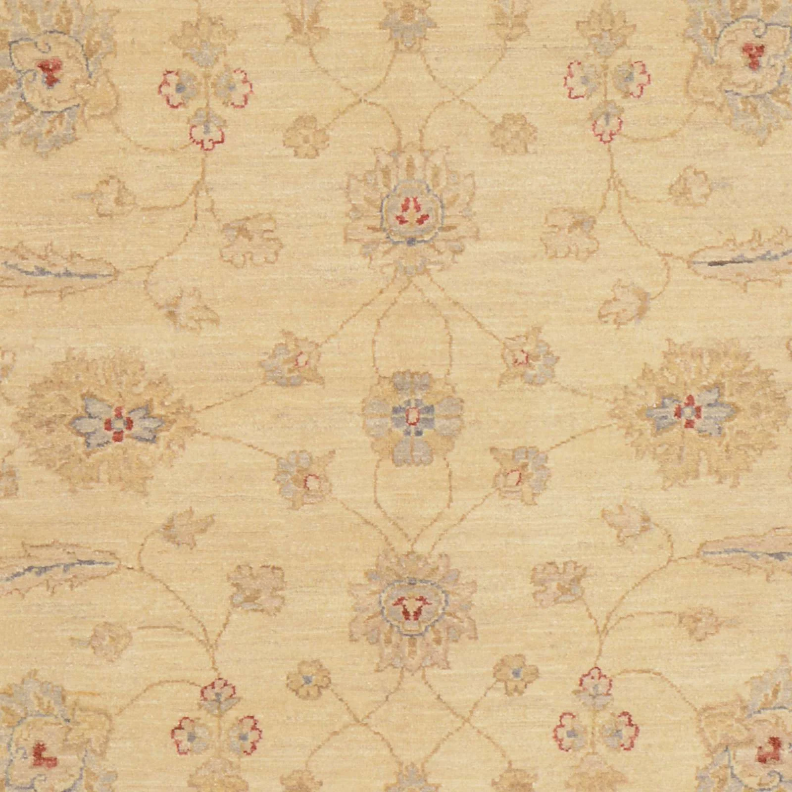 Ziegler Pakistani Rug 238 × 163 cm in Wool, hand-knotted - Image 4