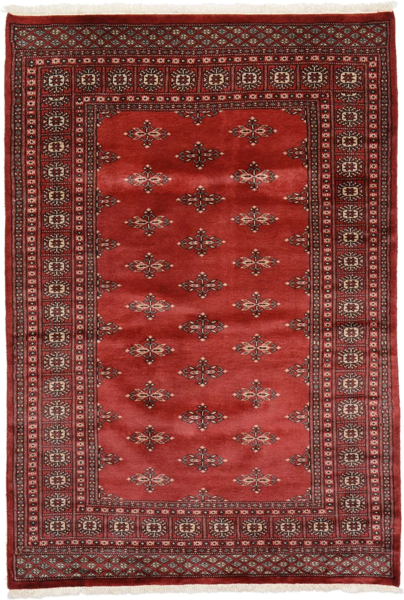 Pakistani Rug 121 × 180 cm in Wool, hand-knotted