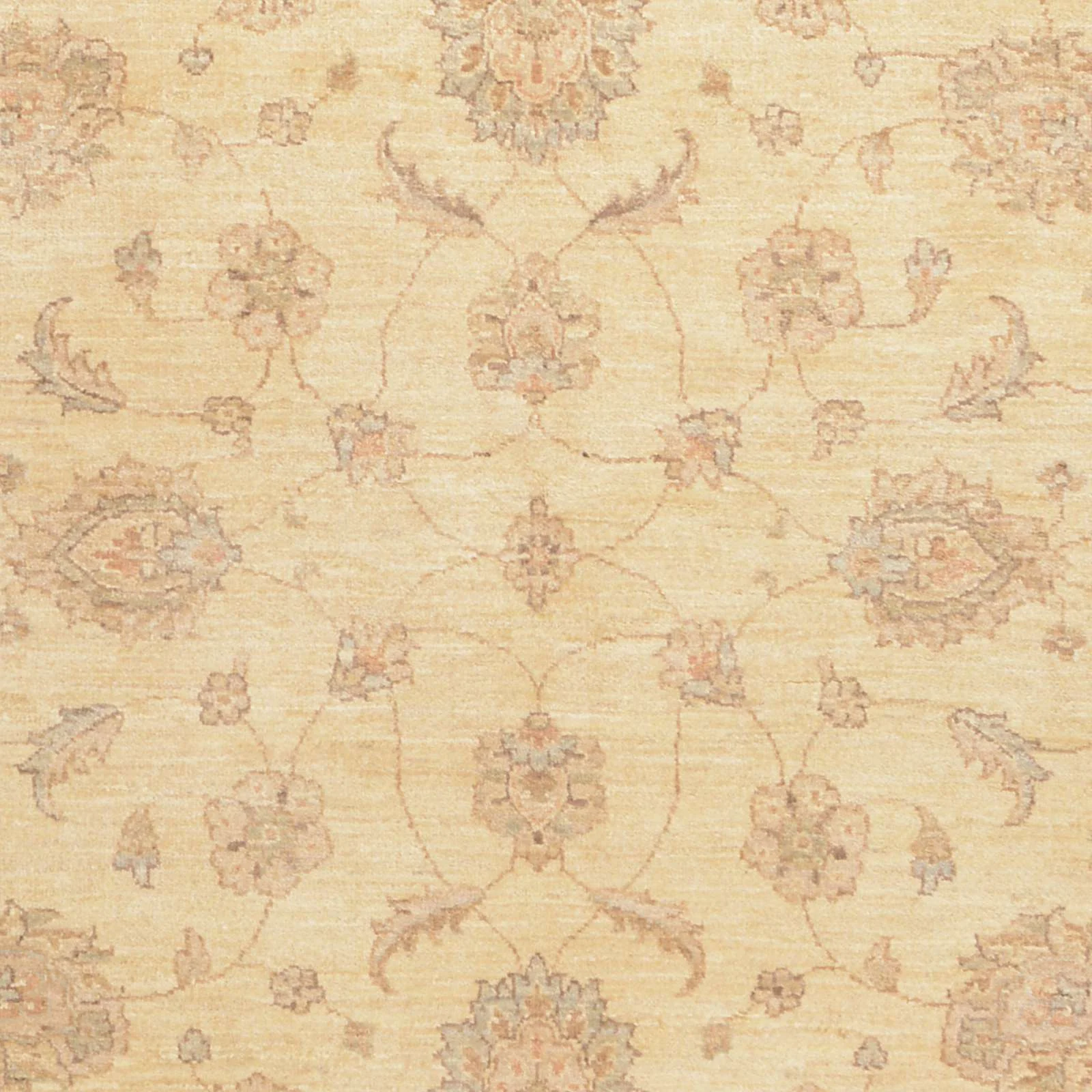 Wool Ziegler Afghan Rug 170 × 234 cm, hand-knotted - Image 5