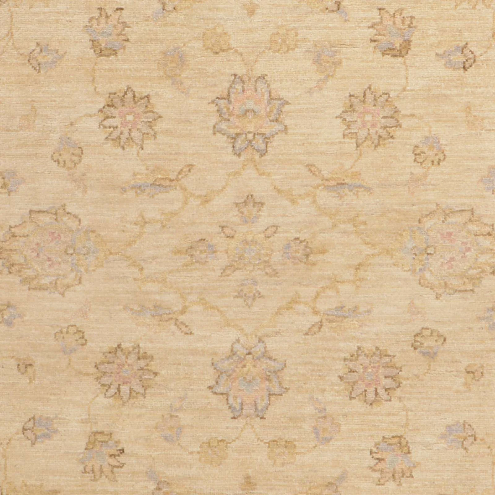 Wool Ziegler Pakistani Rug 126 × 189 cm, hand-knotted - Image 5