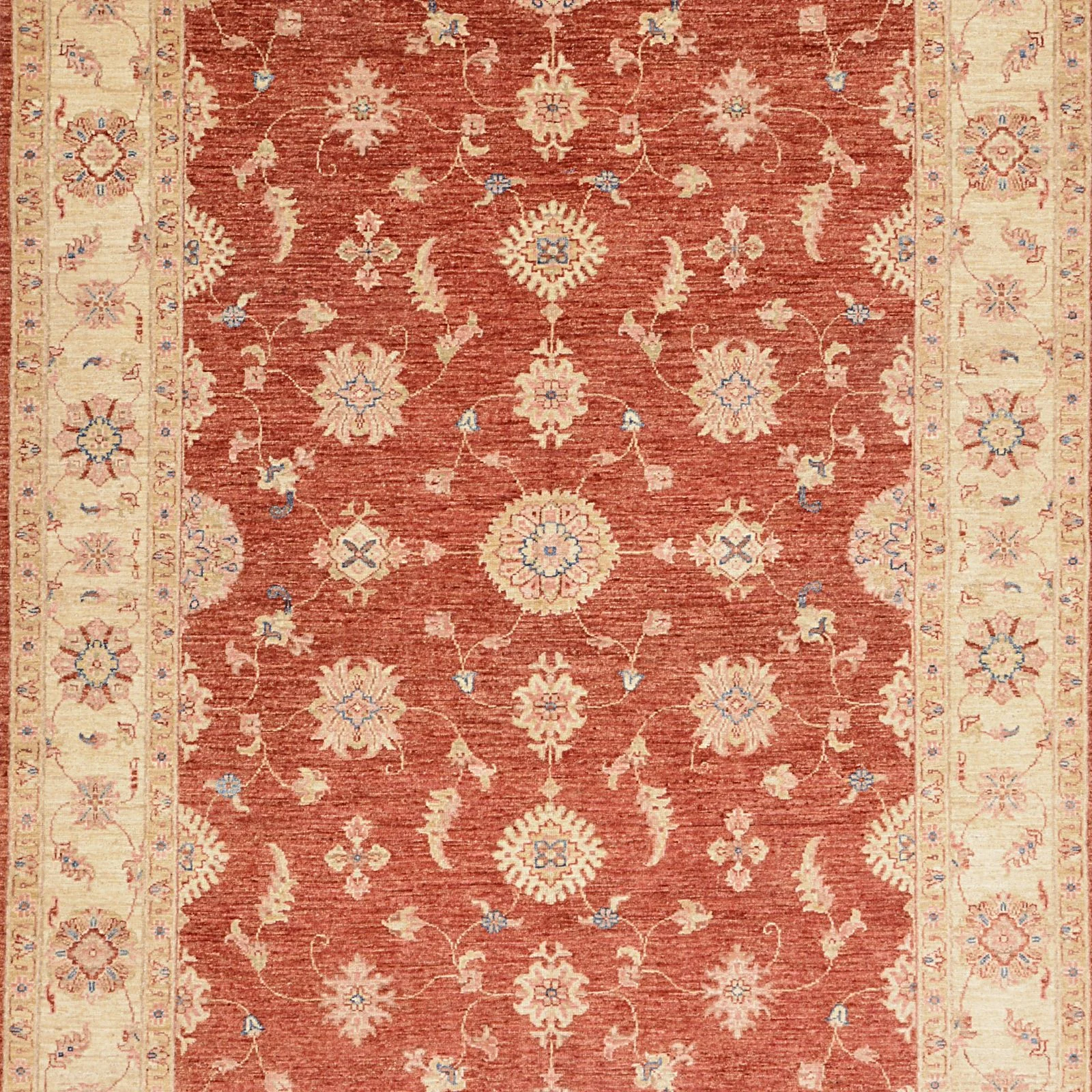 Wool Ziegler Pakistani Rug 171 × 245 cm, hand-knotted - Image 6