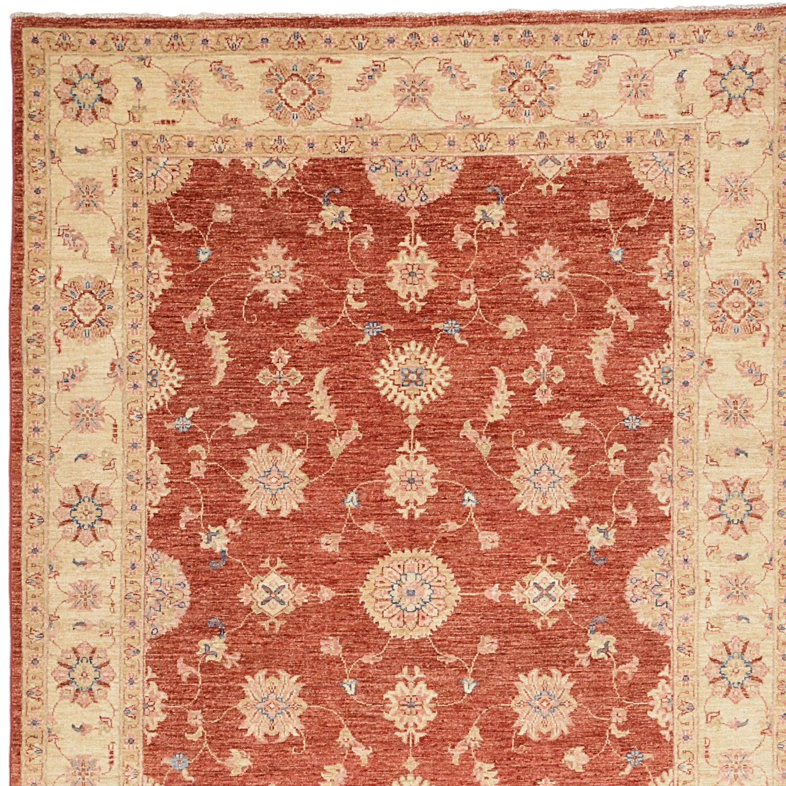 Wool Ziegler Pakistani Rug 171 × 245 cm, hand-knotted - Image 7